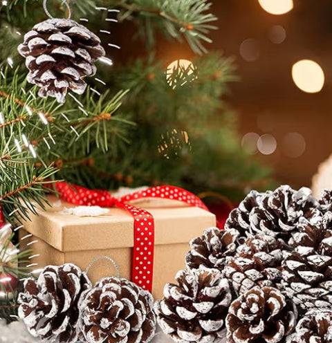 X-Mas Pine Cones