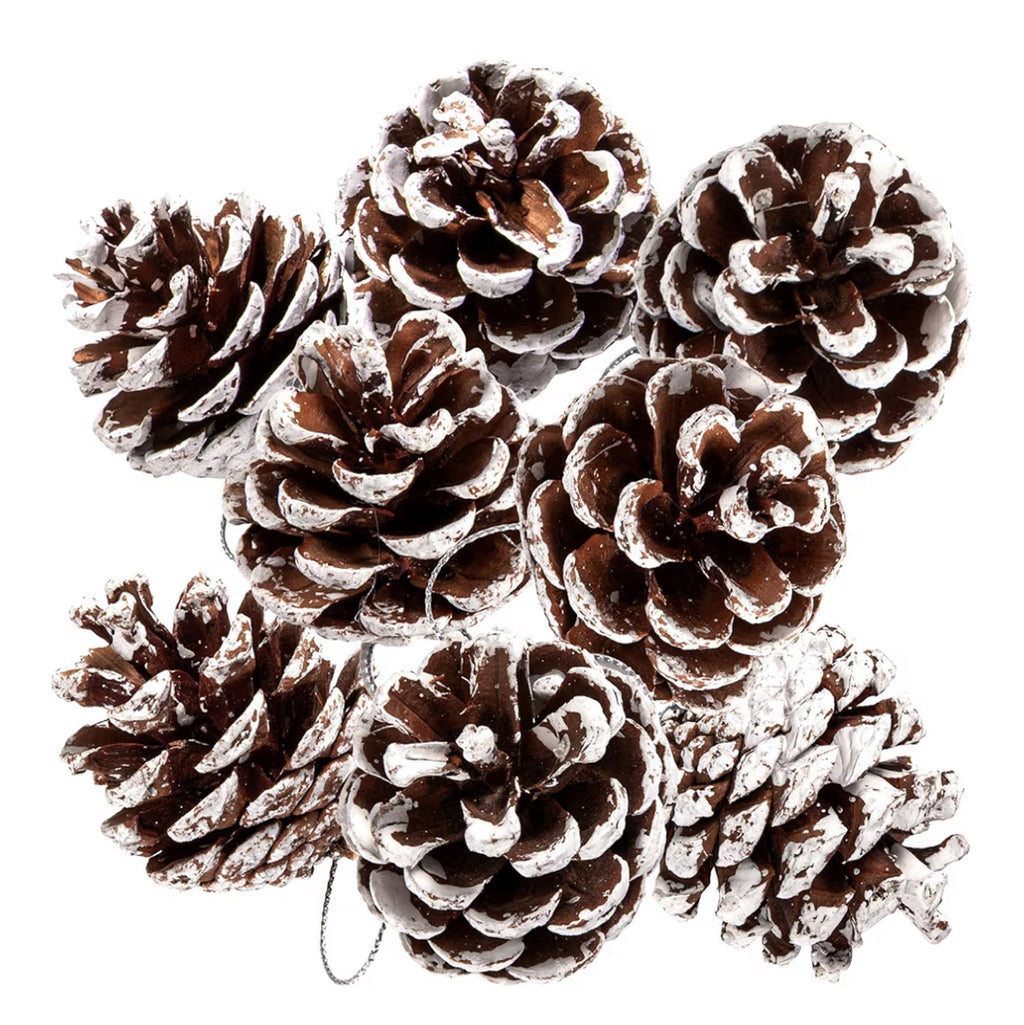 X-Mas Pine Cones