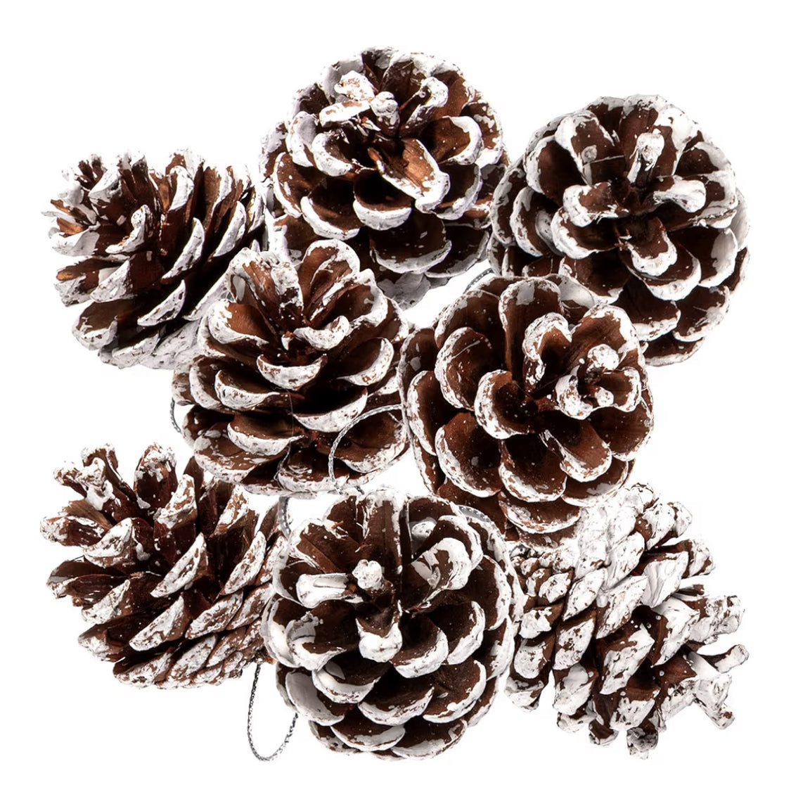 X-Mas Pine Cones